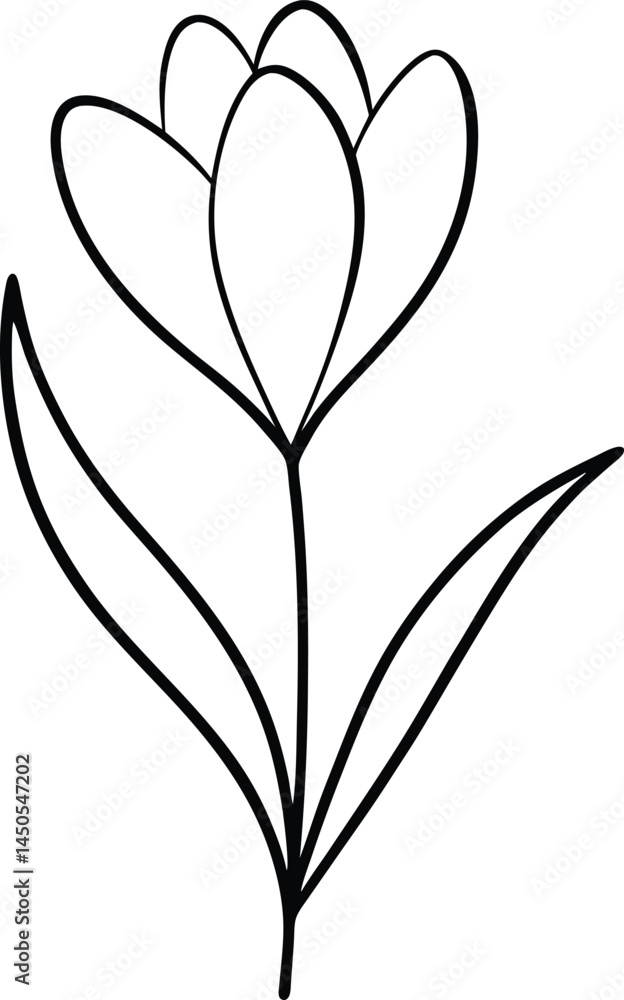 Poster spring crocus flower illustration in elegant continuous line art style perfect for botanical themed 