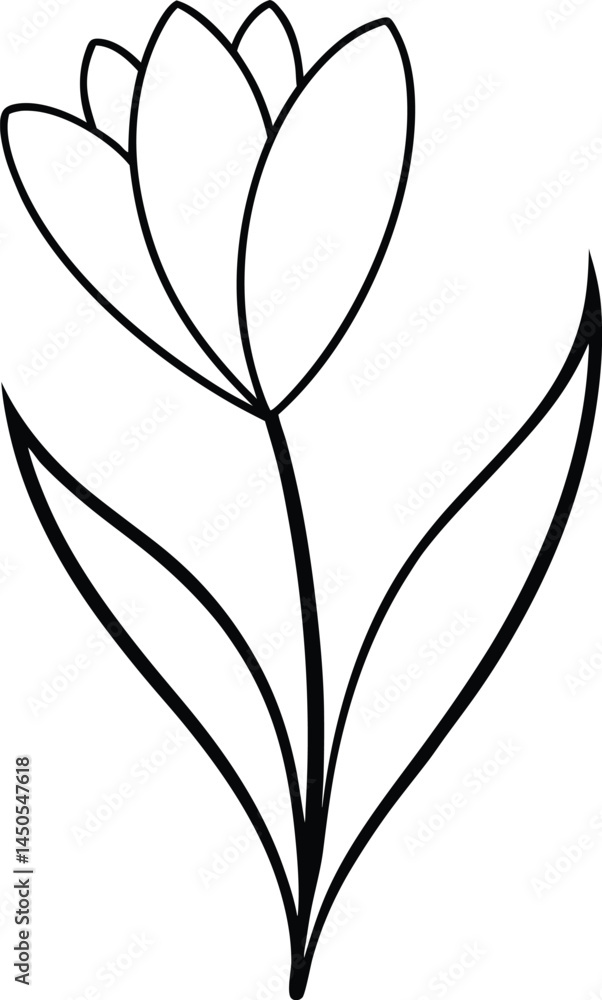Poster beautiful spring crocus flower artwork created using continuous line art technique ideal for floral 