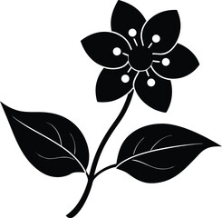 bunchberry flower silhouette vector on white 