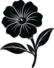 calibrachoa flower silhouette vector on white  