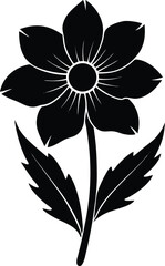 canadian anemone flower silhouette vector on white 