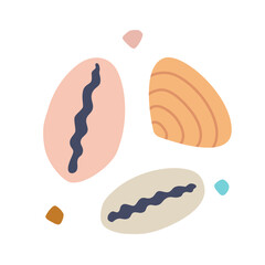 Marine seashells, Cypraeidae, Veneridae, Venus clams and pebbles. Shells for beach themes, nautical decor and ocean inspired designs. Trendy modern isolated vector illustration, hand drawn, flat
