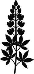 carolina lupine flower silhouette vector on white 