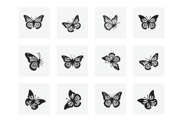 12 Elegant Butterfly Vector Illustrations. Colorful, Detailed, and Perfect for Design Projects