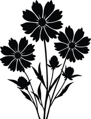 coreopsis bloom silhouette vector on white 