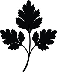 coriander seed silhouette vector icon on white 