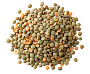 Harvesting green lentils agriculture field food sunny environment isolated on transparent background