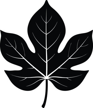 recommend clip art: fig leaf silhouette vector on white background 