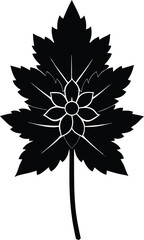 foamflower bloom silhouette vector on white 