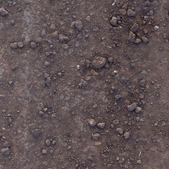 brown soil with stones 