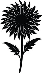 gaillardia flower silhouette vector on white 