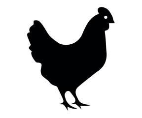 Chicken Silhouette Vector Isolated on White Background