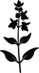 hairy beardtongue flower silhouette vector 