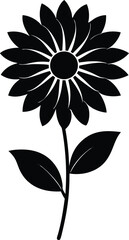 heartleaf aster flower silhouette vector on white  