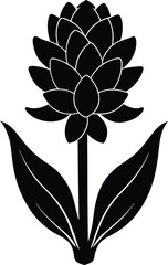 hyacinth flower silhouette vector on white 