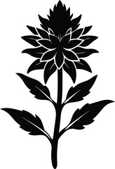 indian paintbrush flower silhouette vector 