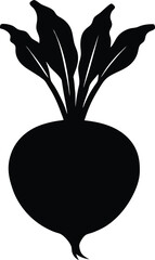kohlrabi silhouette vector on white background 