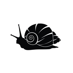 snail silhouette vector, Sea snail vector illustration