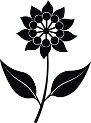 milkweed flower silhouette vector on white 