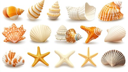 Obraz premium Seashells and starfish summer collection vector illustration