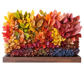 Vibrant autumn leaves display nature installation colorful modern isolated on transparent background