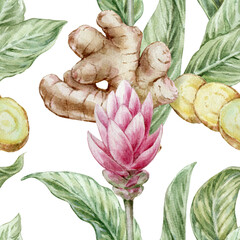 Seamless botanical watercolor pattern with ginger root leaves and red flowers on a white background