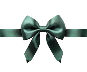 Elegant green ribbon bow decoration gift wrapping aesthetic appeal isolated on transparent background