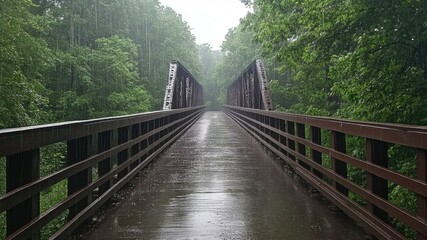 Bridge in a forest during a rainy day