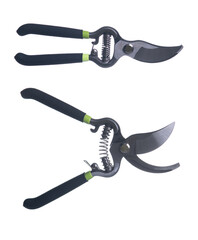 Gardening Scissors Isolated on White Background. Tool for Trimming Bushes and Trees