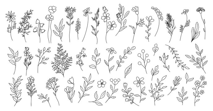 Set of tiny wild flowers and plants line art vector botanical illustrations. Trendy greenery hand drawn black ink sketches collection. Modern design for logo, tattoo, wall art, branding and packaging.