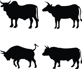Set of Four Bulls and Cows Silhouettes Featuring Bold Poses and Muscular Forms, Ideal for Farm, Ranch, Nature, Wild Animal, Meat Industry, and Wildlife Projects