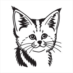 Cute Sand Cat Close-Up – Desert Adapted Small Cat Image