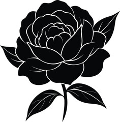 peony flower silhouette vector on white background.eps