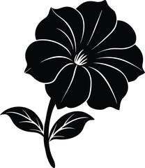 petunia flower silhouette vector on white 