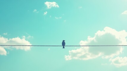 Fototapeta premium Bird perched on wire against a blue sky.