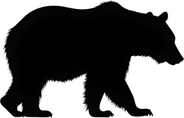 Bear Silhouette – Wild Animal Profile Isolated on White Background

