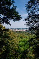 Elevated view of Besançon surrounded by trees, seen from the Via Francigena trail in France