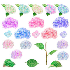 Set of hand painted watercolor elements with colorful flowers and petals, leaves and stem of hydrangea. Illustrations isolated on white background.
