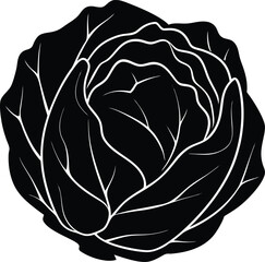 red cabbage silhouette vector on white background  