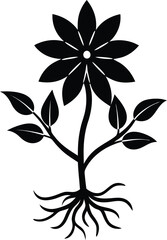 redroot flower silhouette vector on white 