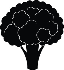 romanesco broccoli silhouette vector on white 