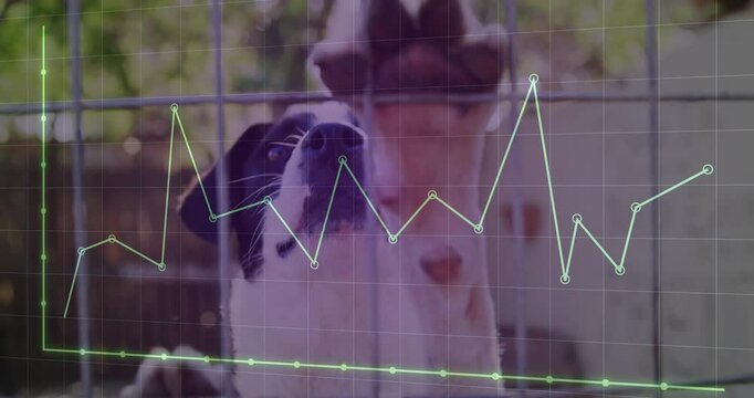 Goat standing behind metal fence, displaying grid and live data chart overlay in flat design