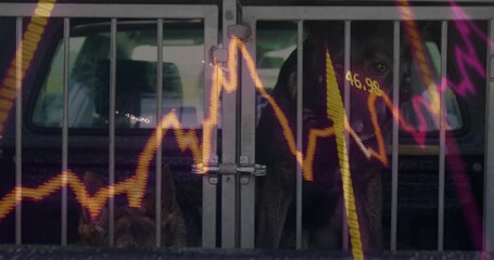 Flat design German Shepherd dogs sitting behind cage bars in truck bed, showing stock chart overlay - Powered by Adobe