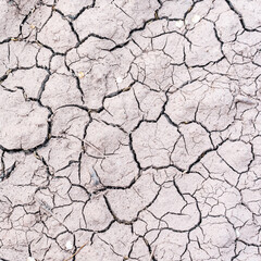 The texture of dry cracked soil is light brown in color, illuminated by sunlight, square photo.