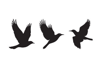 Obraz premium Flying Bird Silhouette Vector Black Bird Icons for Nature and Wildlife Designs