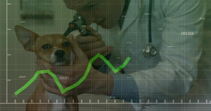 Veterinarian using otoscope on dog in vet clinic, overlaying green line chart and numeric data