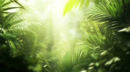 A blurry, green jungle scene with sunlight shining through leaves. It creates a calm and peaceful feeling, perfect for a background image.
