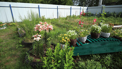 Obraz premium A community vegetable and flower garden