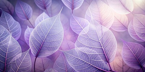 A delicate tapestry of translucent purple leaves with intricate vein patterns, showcasing the ethereal beauty of nature's intricate details.