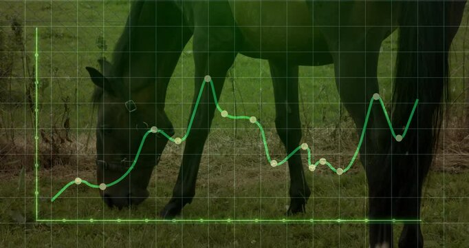 Horse grazing in pasture while showing transparent green grid and line chart overlay